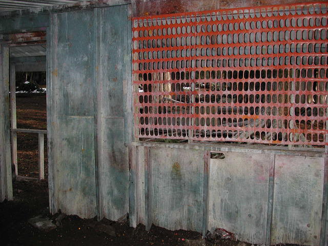 DSCN0277