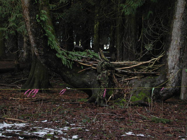 DSCN0282