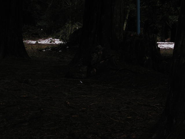 DSCN0295
