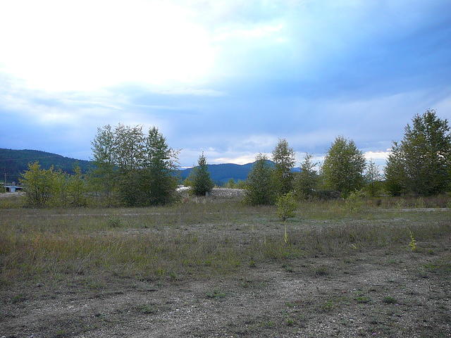 P1260191