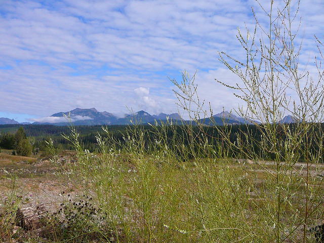 P1260220