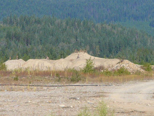 P1260304