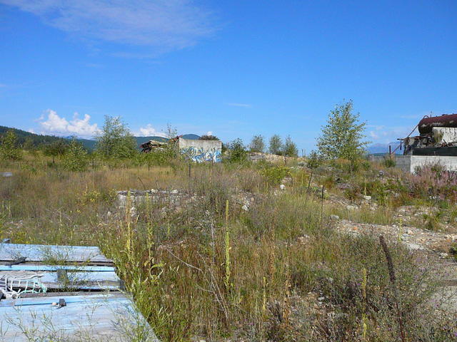 P1260333