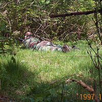 DCP00241
