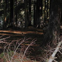 DSCN0289