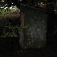 DSCN0297