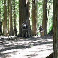 DSC 0038