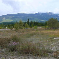 P1260184