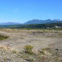 P1260285